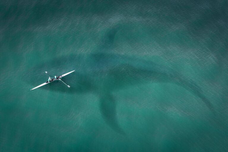 Exploring the Use of Drone Photography for Cricket Event Promotion